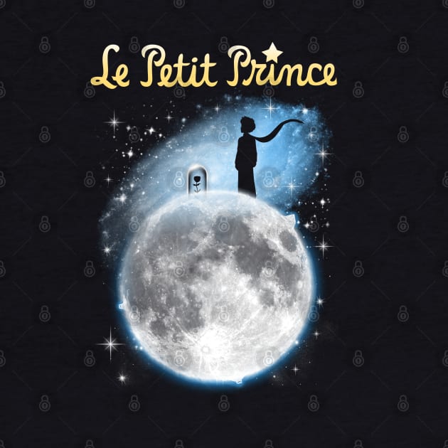 Le Petit Prince by Vincent Trinidad Art